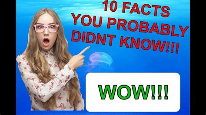 10 Facts You Probably Didn't Know About Williams