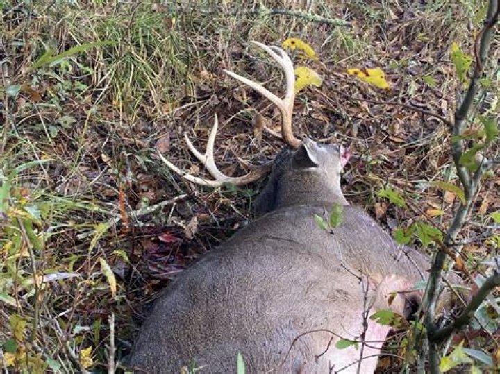17yearold hunter shot and killed in after being mistaken for