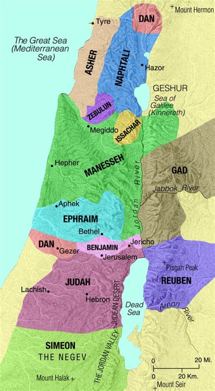 2 Tribes