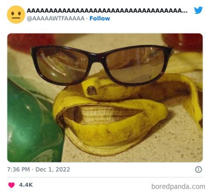24 Random Funny Pics to Twist Up Your Crazy Unwarped Mind Team Jimmy Joe