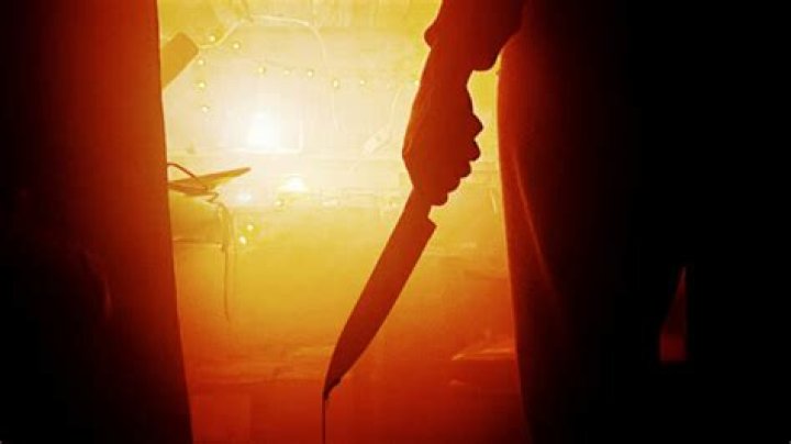 A look into the gore horror genre Videomaker