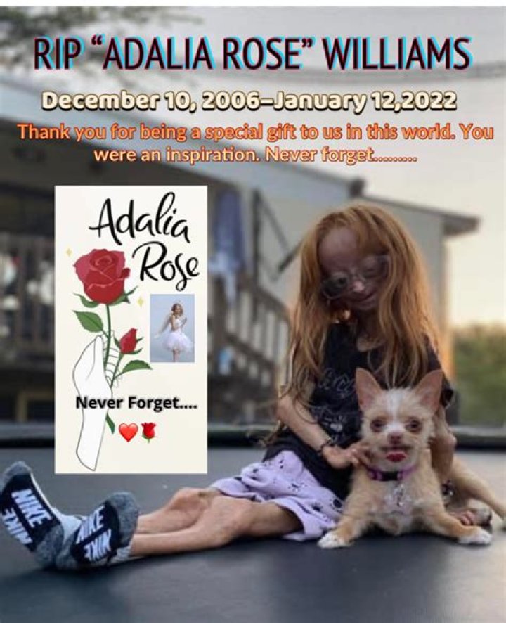 Adalia Rose Age, Family, Boyfriend, Net Worth,Height & More
