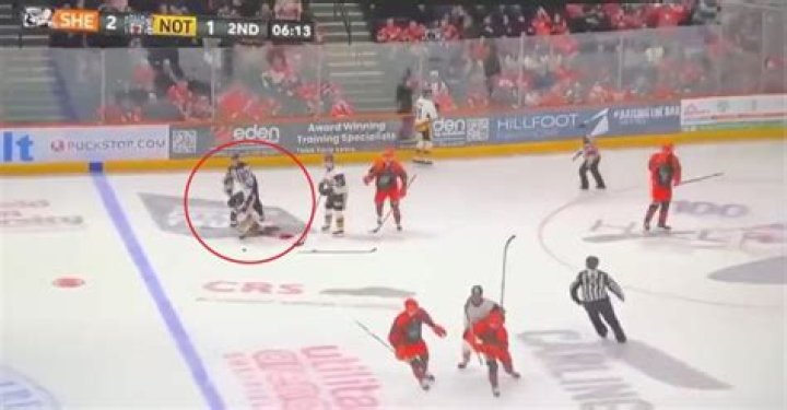 Adam Johnson cause of death How did the Nottingham Panthers forward