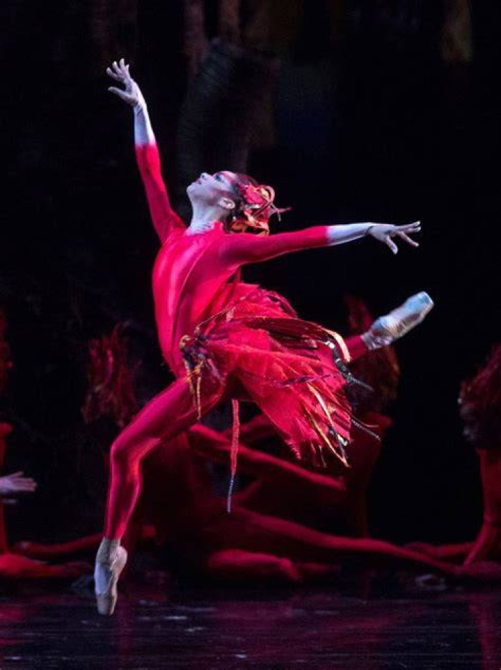 AfriClassical Ballet Dancer Misty Copeland speaks with California