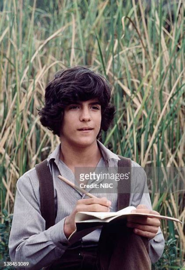 Albert Quinn Ingalls Little House on the Prairie Wiki Fandom