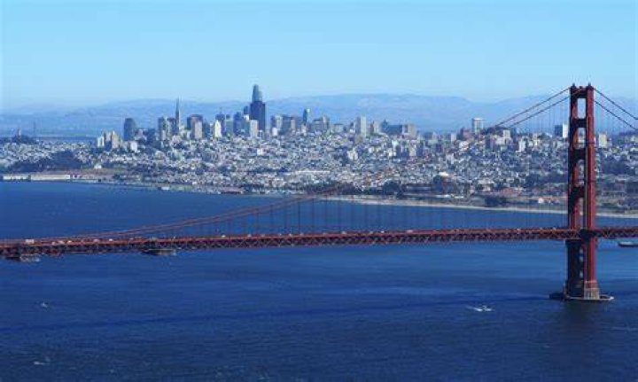 Amy N. Barton San Francisco, California, United States Professional