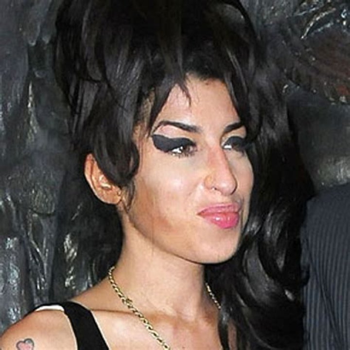 Amy Winehouse Exhusband slams hologram tour plans Adelaide Now
