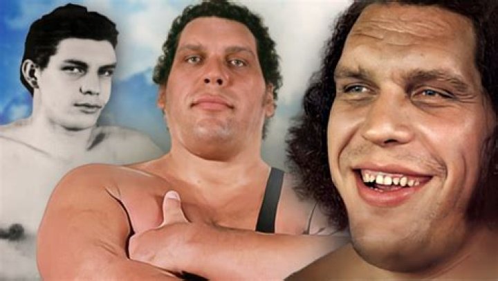 Andre the Giant 16 Tales Told By His Friends