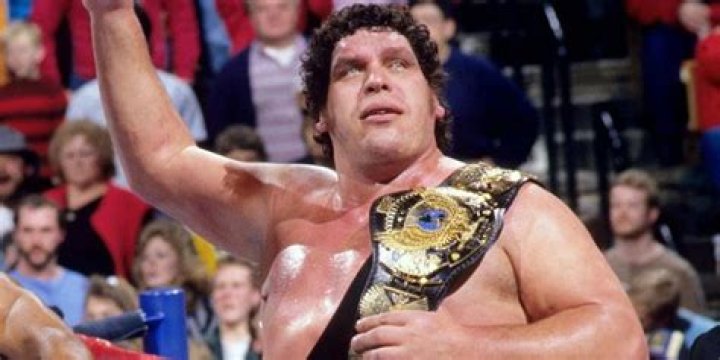 Andre The Giant's Daughter Speaks to Reddit? YouTube