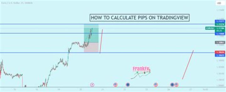 Are any of the PIPS still alive or dead?