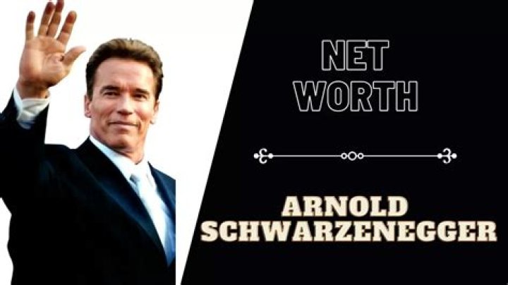 Arnold Schwarzenegger Net Worth Wealthy Genius