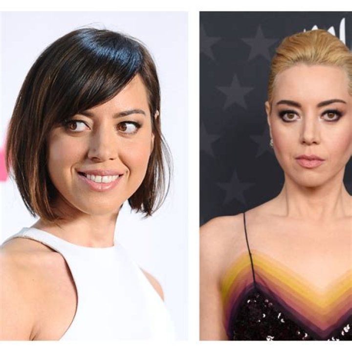 Aubrey Plaza Celebrity Hairstyle Changes 2013 POPSUGAR Beauty Photo 49