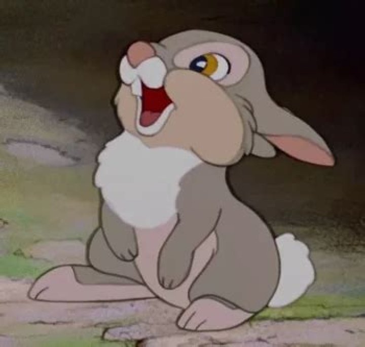 Bambi Heroes and Villains Wiki Fandom