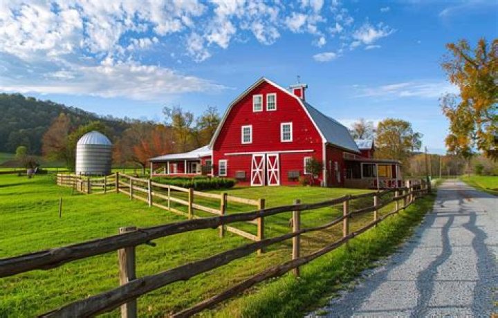 Barn On The Farm has confirmed a new headliner Lizzy McAlpine Dork