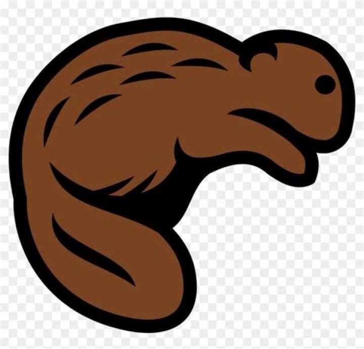 beaver 20 free Cliparts Download images on Clipground 2024