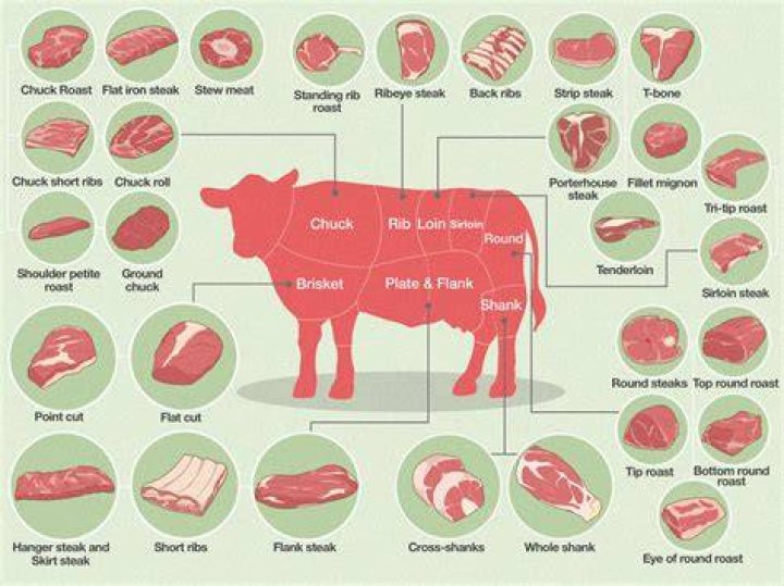 Beef Cuts Butcher Chart Cattle Diagram Poster Metal Print 12In x 16In