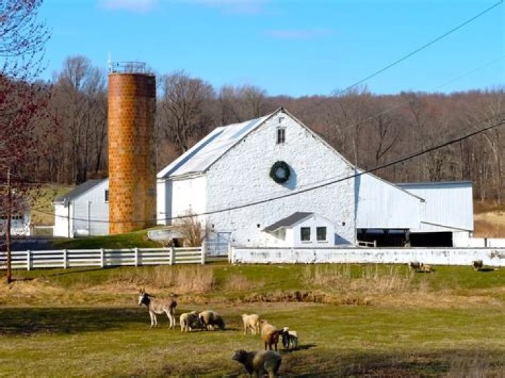 Blase Raia Pennsylvania Man Kills Wife Before Turning Gun on Himself