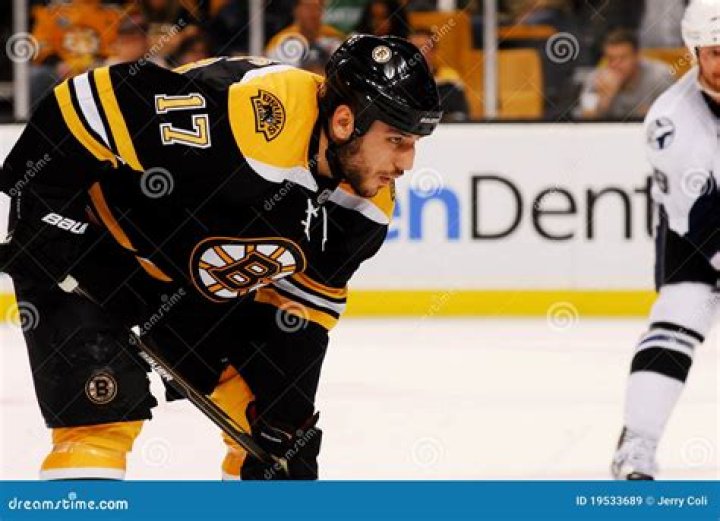 Boston Bruins Forward Milan Lucic Has a Wife and Three Kids