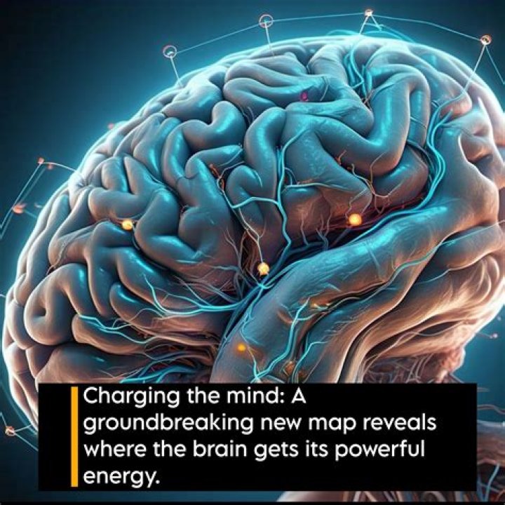 Brain research gets a boost at The Royal The Royal