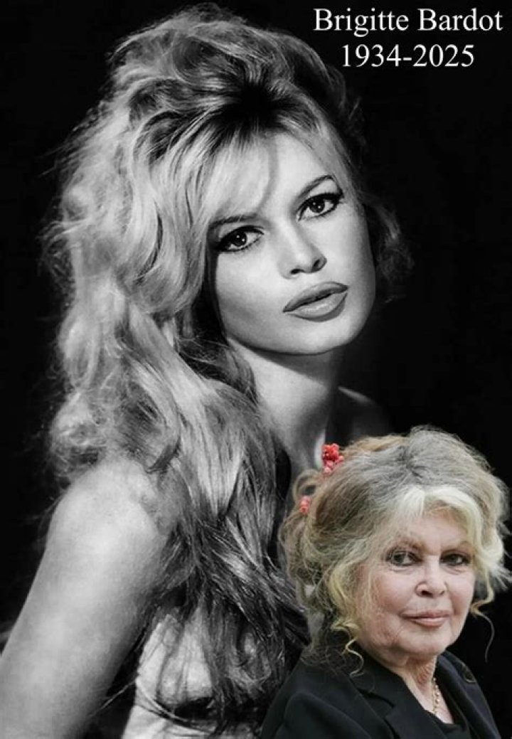 Brigitte Bardot her life and times so far in pictures in 2020