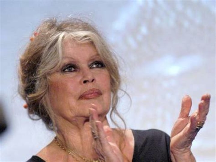 Brigitte Bardot Net Worth 20172016, Biography, Wiki UPDATED