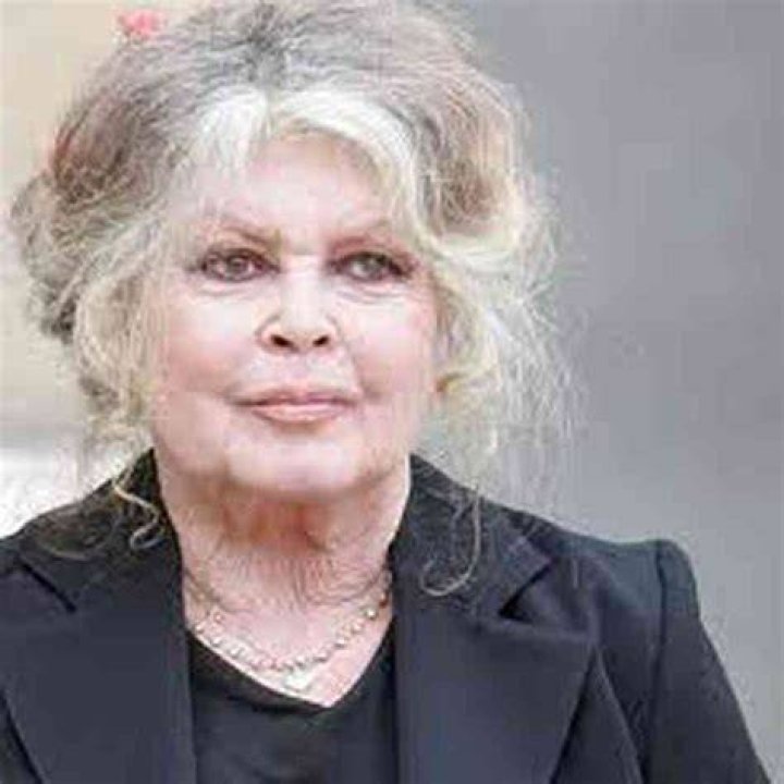 Brigitte Bardot Net Worth 2022 Wiki Bio, Married, Dating, Family