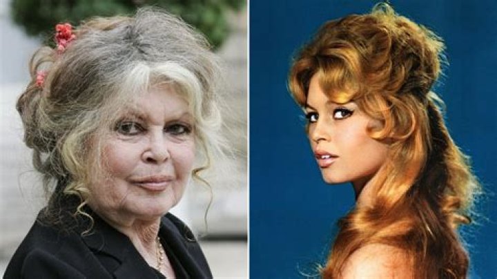 Brigitte Bardot Weight Height Net Worth Measurements