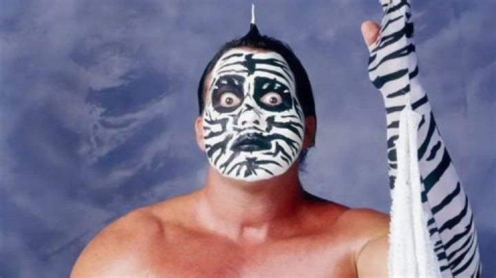 Brutus Beefcake Net Worth Suugly