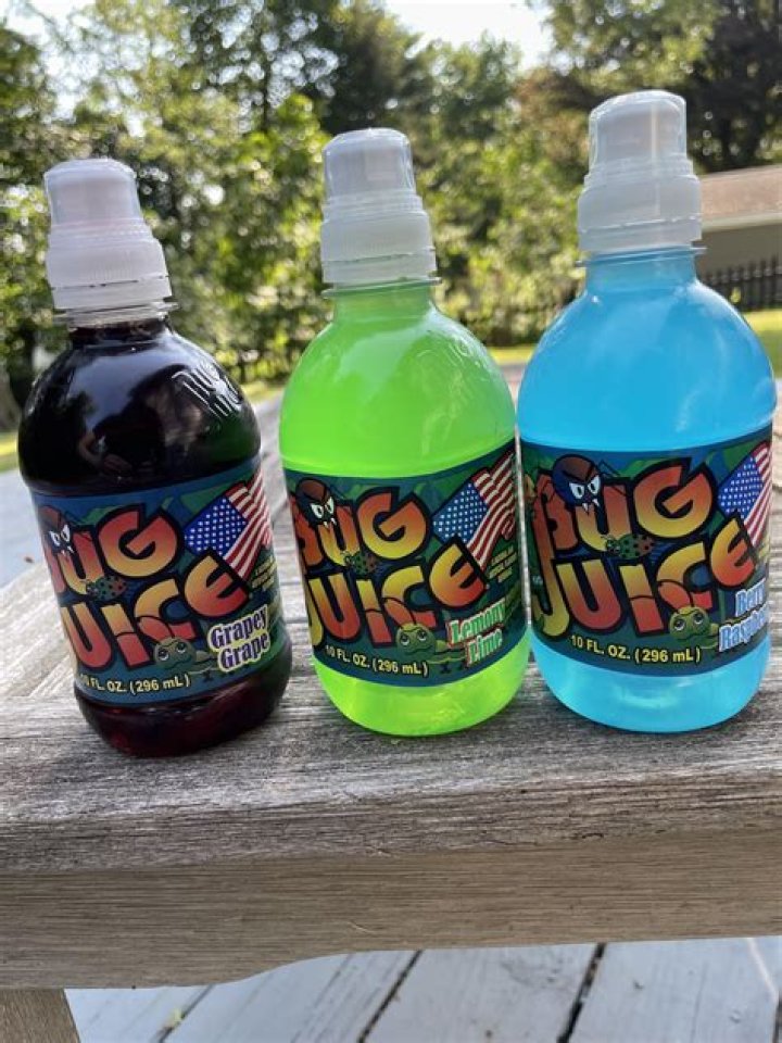 Bug Juice Where Are They Now? What Happened to The Bug Juice Cast Now