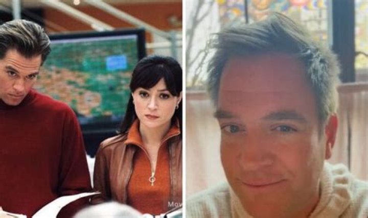 Bull Actor Michael Weatherly's Wife Bojana Jankovic (Bio, Wiki)