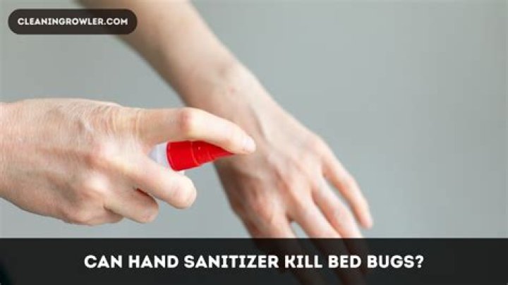 Can Hand Sanitizer Kill Bed Bugs? walkthepests