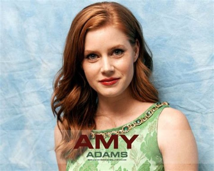 Celebrity Hairstyles Amy Adams 2013 hair trends