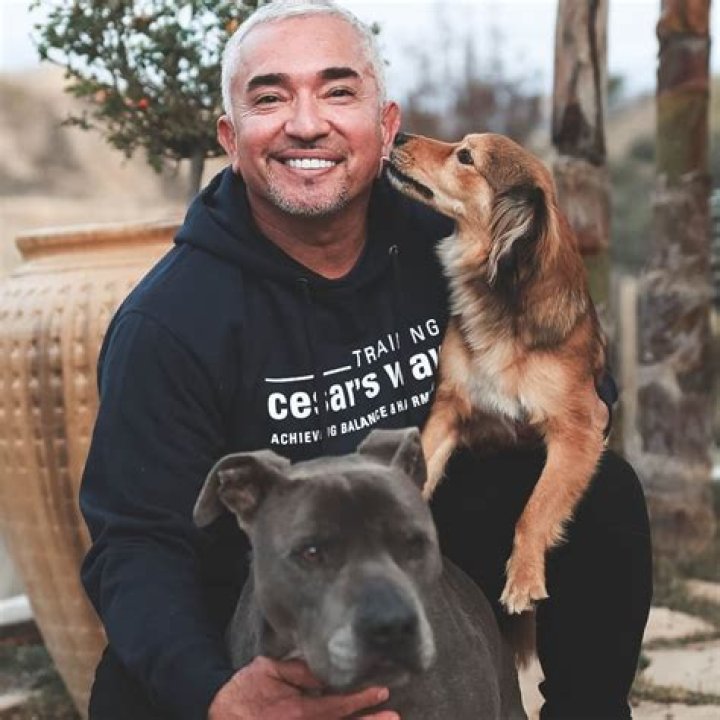 Cesar Millan Net Worth & Bio A Rags To Riches Story Puplore