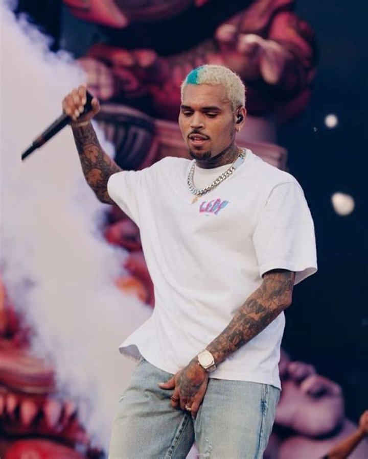 Chris Brown's Mother Shook Fans On IG With Ageless Selfie Urban Islandz