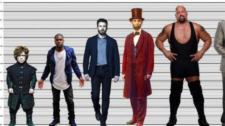Chris Evans Height How Tall is the Avenger Star?
