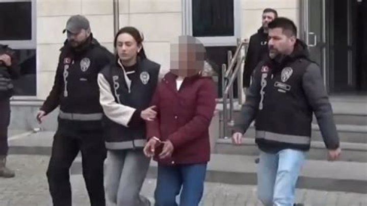 cinayet Ke&ccedil;i Doğa tawnee stone bikini dirsek boşluk Somatik h&uuml;cre