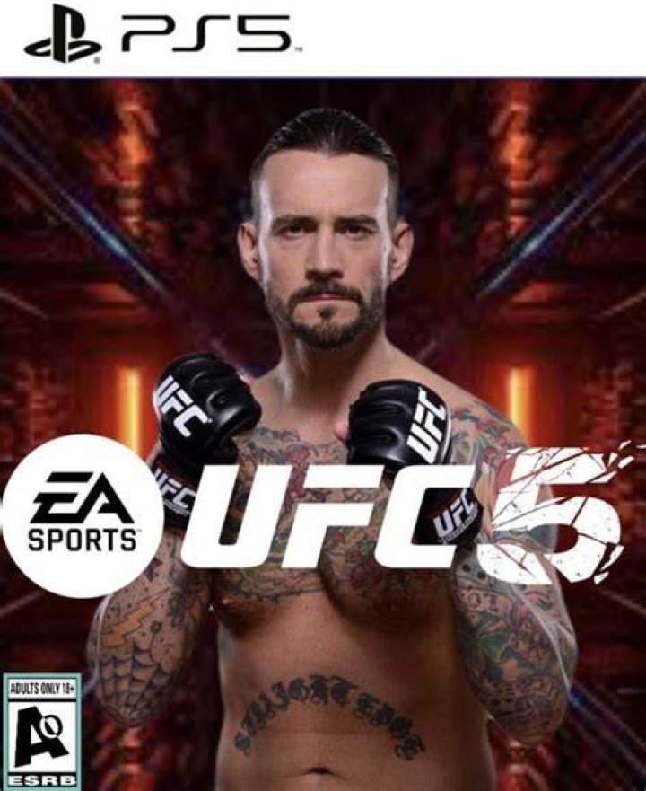CM Punk set for UFC 225 in wake of fight of his life in court The