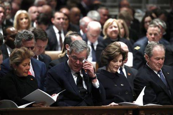 Compare Columba Bush's height, weight, eyes color with other celebs