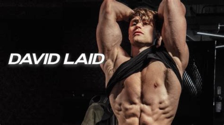 Contact David Laid Creator and Influencer
