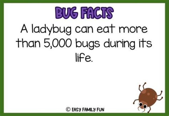 Cool bug Fact's *&ldquo; Dr. Seuss cheated &lsquo; &raquo; on his wife while she was sick