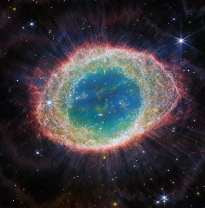 Cosmological Cabbage New Photos of Karla Homolka and Thierry Bordelais