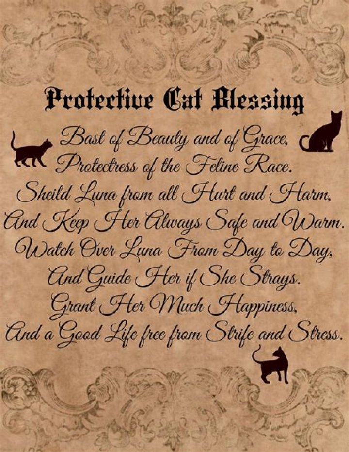 Custom Cat Familiar Blessing Spell Digital Download Book of Etsy