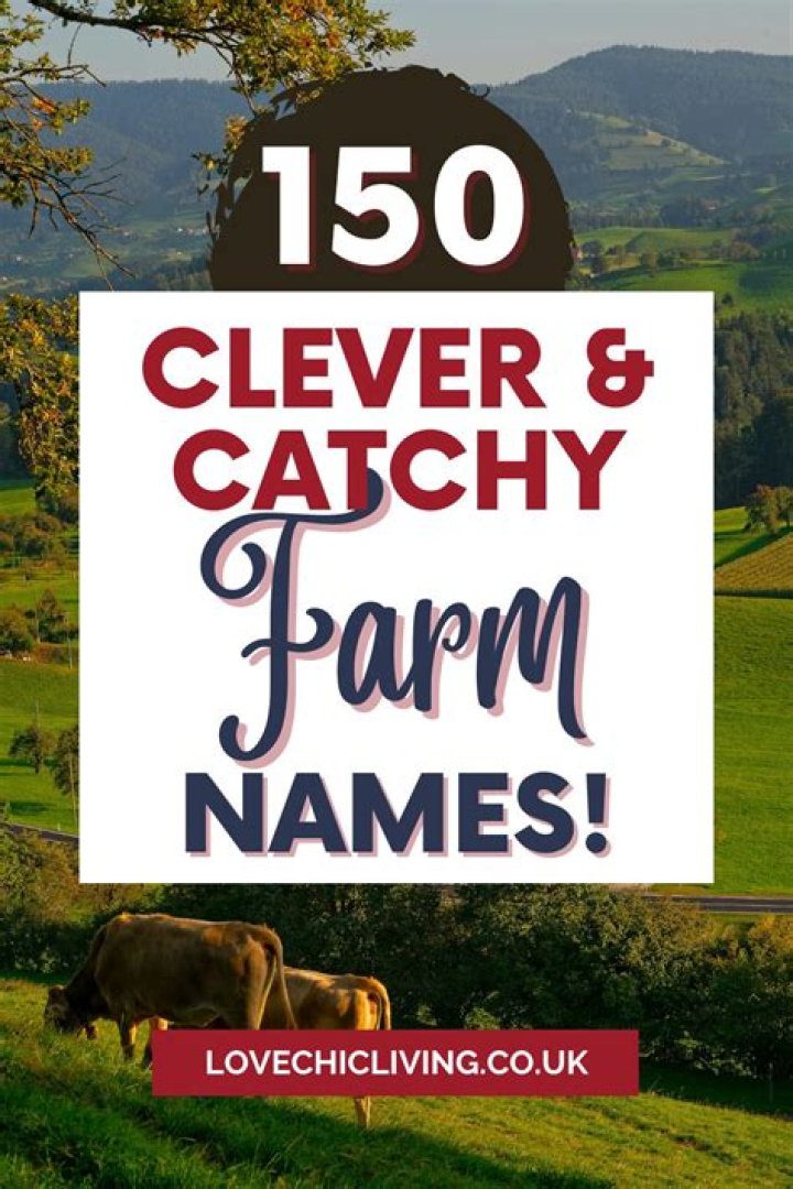 Cute Farm Names for your Farm in Stardew Valley Stardew Guide