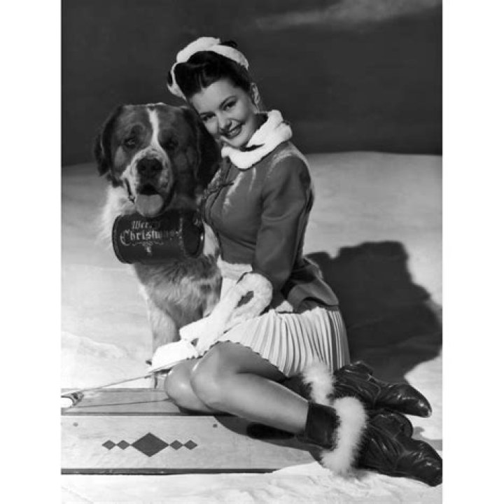 Cyd Charisse with St. Bernard Photo Print (8 x 10) Item DAP15807
