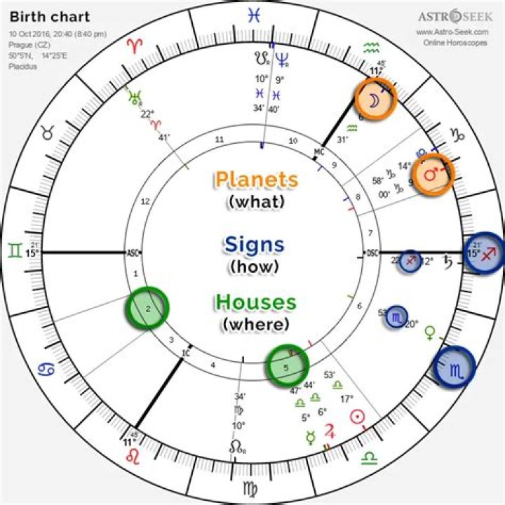 Dana Delany&rsquo;s natal birth chart, kundli, horoscope, astrology forecast