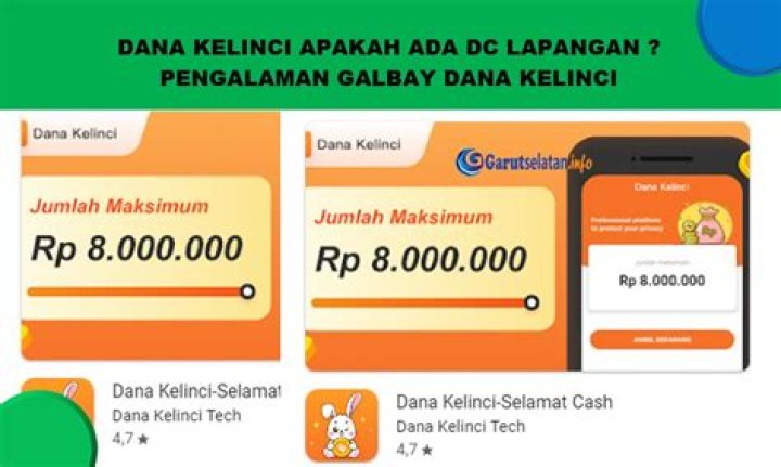 Dana Kelinci Apakah Ada DC Lapangan ? Pengalaman Galbay Dana Kelinci