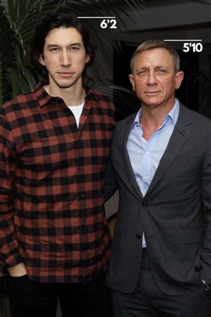 Daniel Craig Height How Tall is The English Actor? Hood MWR