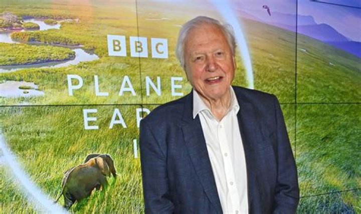 David Attenborough Net Worth (2024) Parade