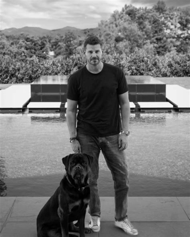 David Boreanaz on Instagram “This kid jadenrboreanaz at the prom