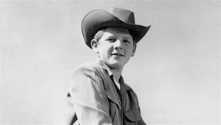 David Stollery D23